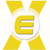 Express Car Service Icon